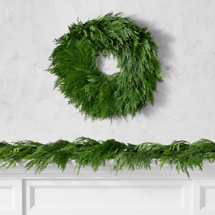Western Red Cedar Live Wreath & Garland | Williams-Sonoma