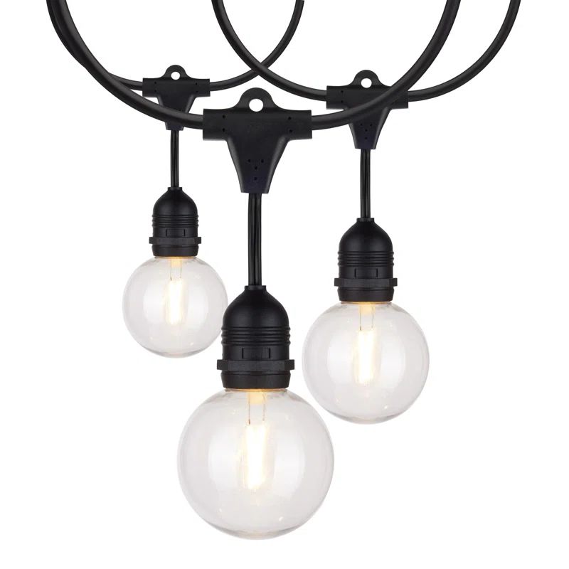 Kelvina Outdoor 12 - Bulb 288'' Plug-in Globe String Light | Wayfair North America