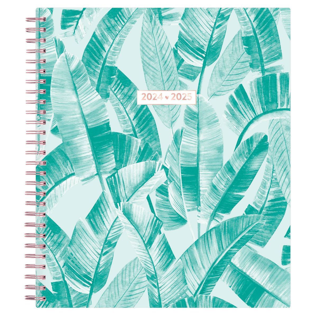 Color Me Courtney for Blue Sky 2024-25 Weekly/Monthly Planner Notes 10"x8" Soft Touch Paradise Mi... | Target