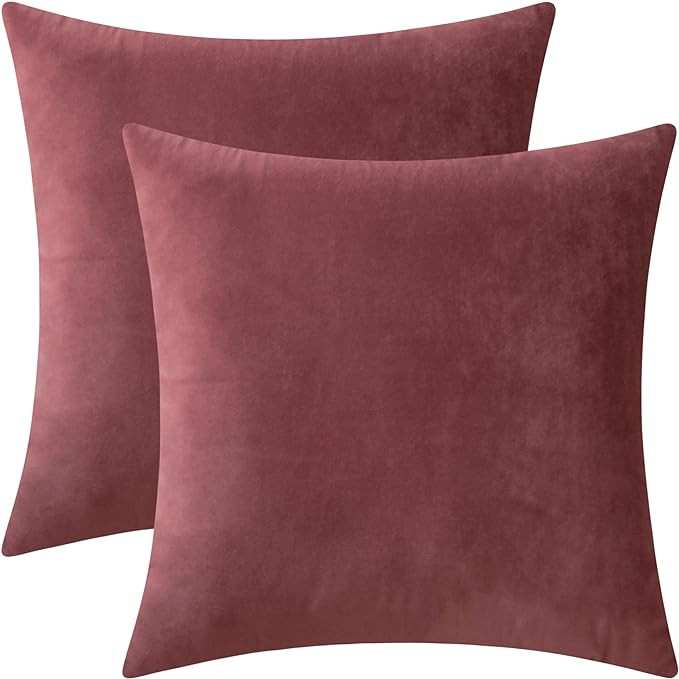 Set of 2 Velvet Throw Pillow Covers for Couch and Bed - 20"x20", Mauve Dusk | Amazon (US)