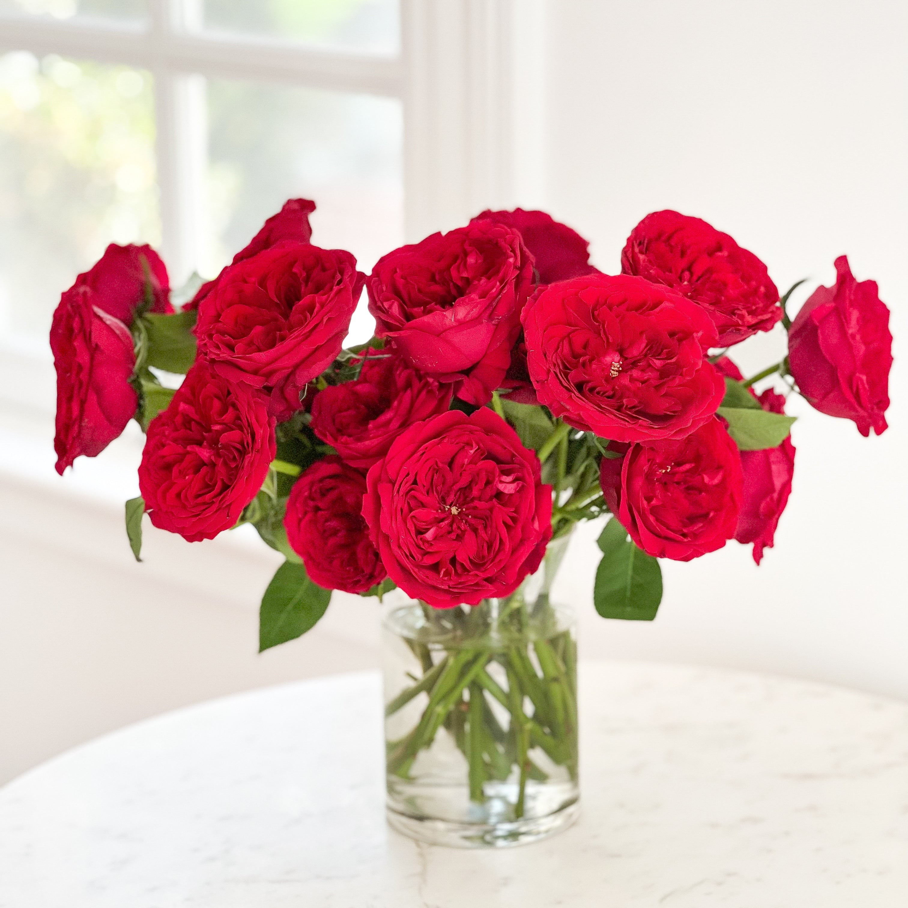 Tess | Grace Rose Farm