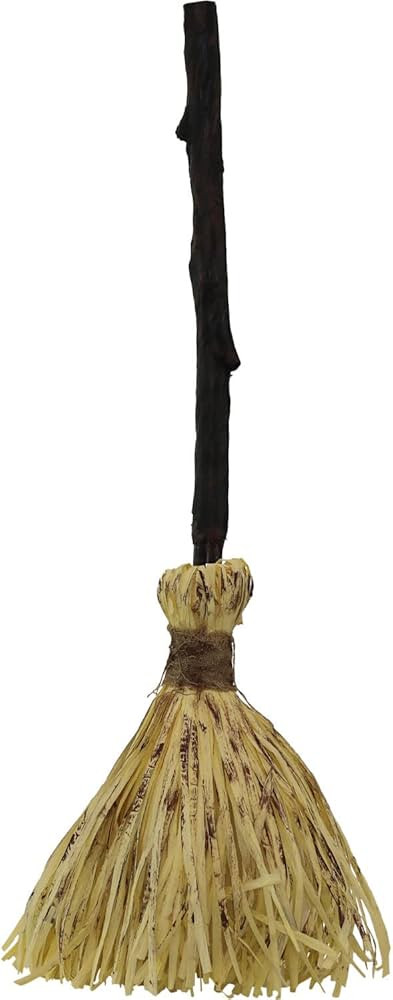 Haunted Hill Farm 26-in. Animatronic Witch's Broomstick with Spooky Sounds and Movement, Lightwei... | Amazon (US)