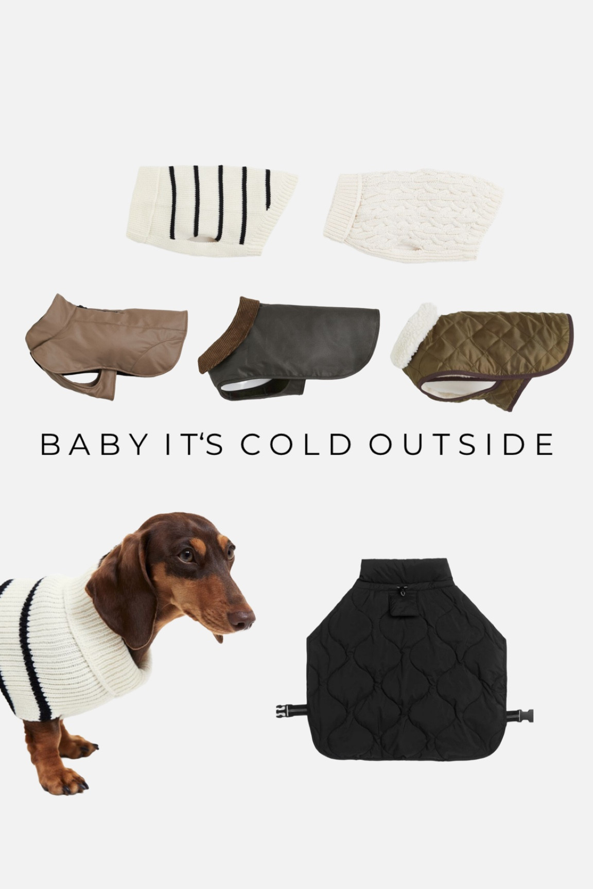 Baby it‘s cold outside dog edition! 🐾 Tolle Outfits für unsere Vierbeiner!

#LTKCyberSaleDE #LTKGiftGuide #LTKSeasonal