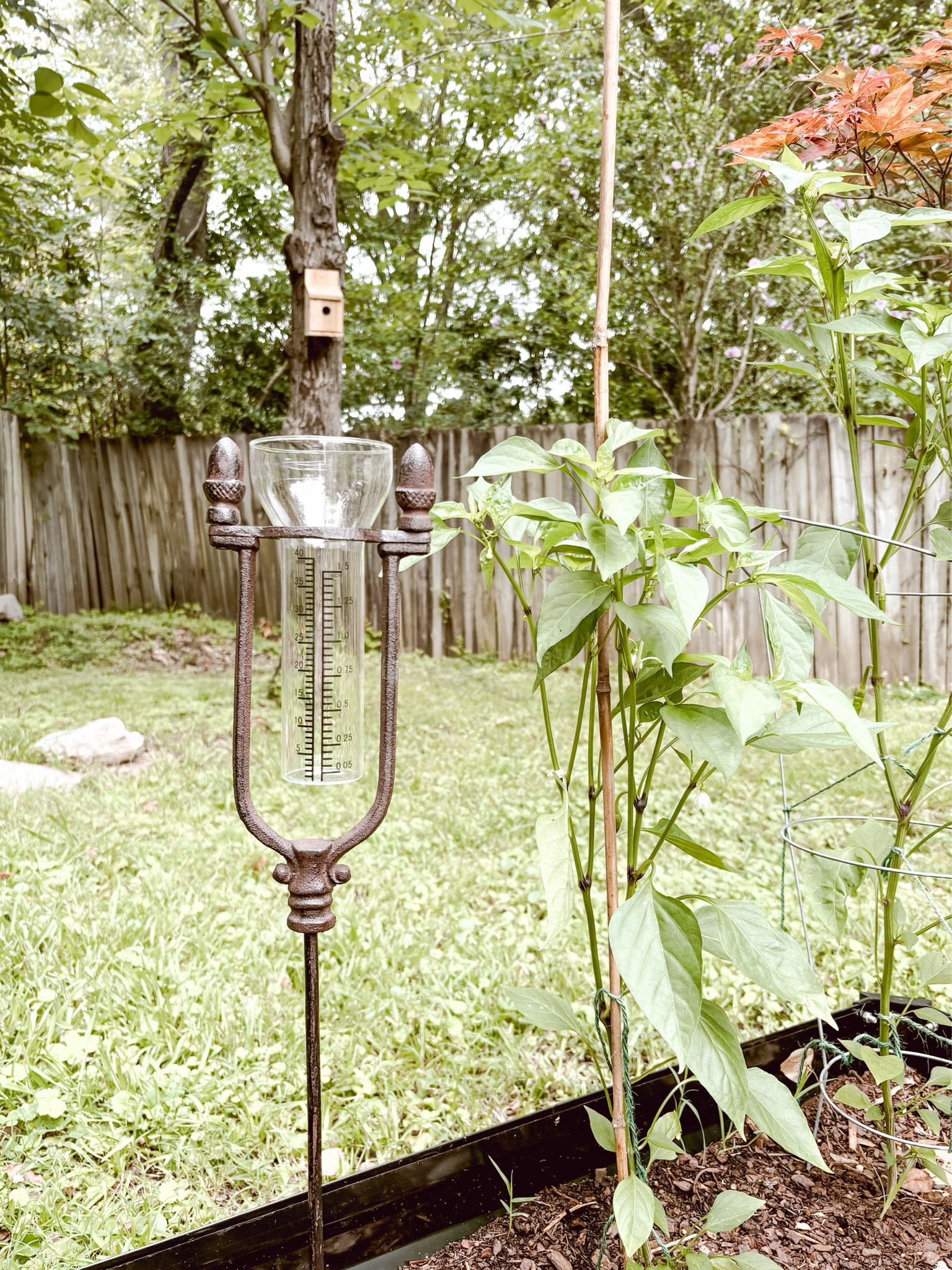 The prettiest rain gauge. Would make a great Father’s Day gift! 

#LTKGiftGuide #LTKhome #LTKstyletip