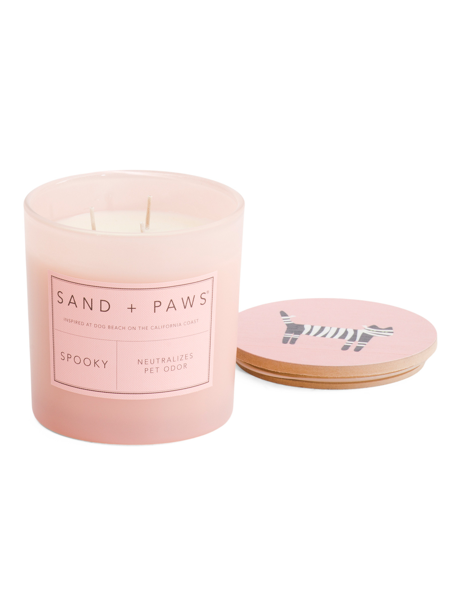 21oz Mummy Cat Spooky Candle | Halloween | Marshalls | Marshalls