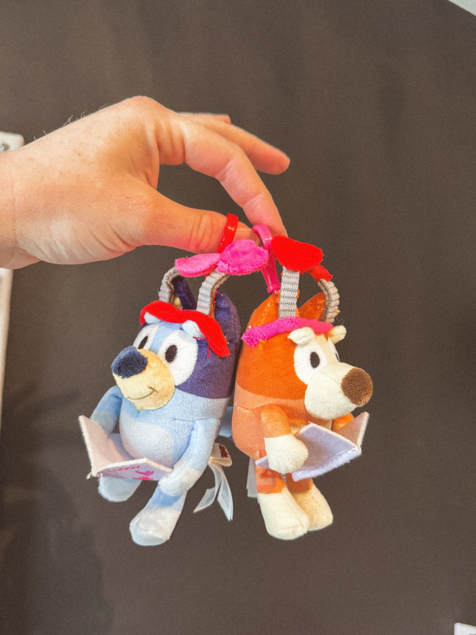 Valentine’s Day finds #valentinesday #bluey #valentines 

#LTKValentine #LTKKids