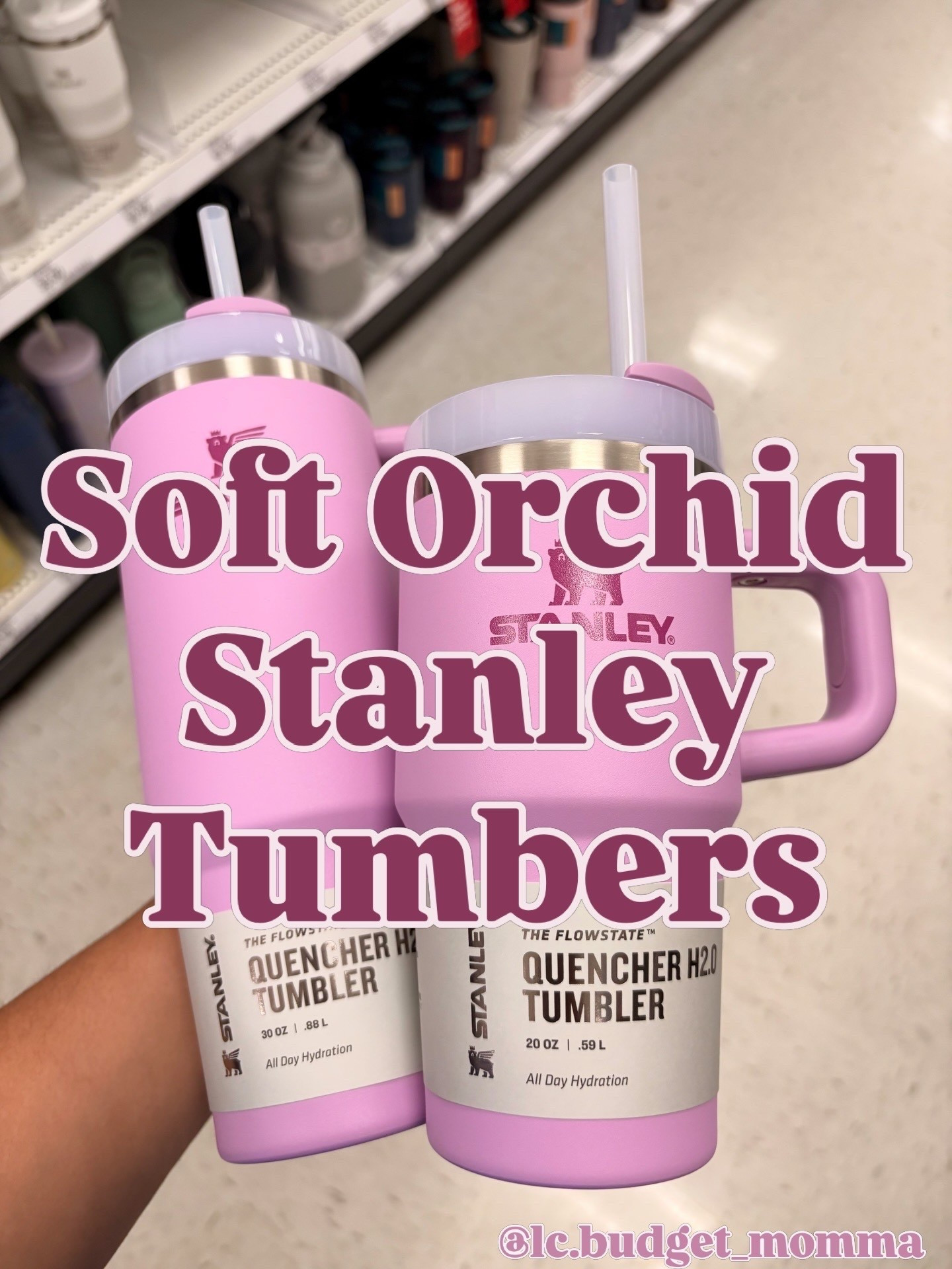 #stanley #tumbler #purple #targetfinds

#LTKMothersDay #LTKmomlife #LTKSeasonal