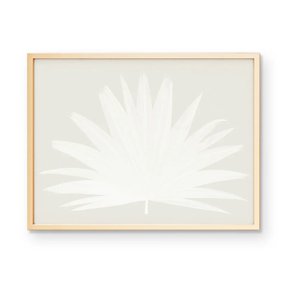 Fan Palm | Urban Garden Prints