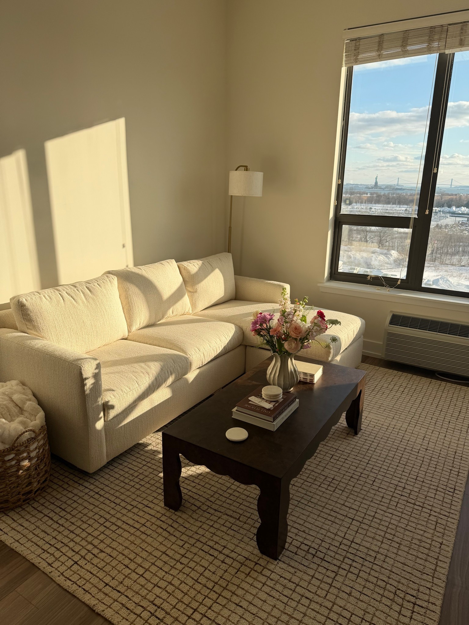 Living room in my new apartment in Jersey 🗽