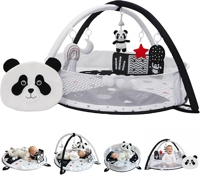 Aila+Aiden 6-in-1 XL Baby Activity Center & Ball Pit, Baby PlayMat & Play Gym, Sensory Exploratio... | Amazon (US)