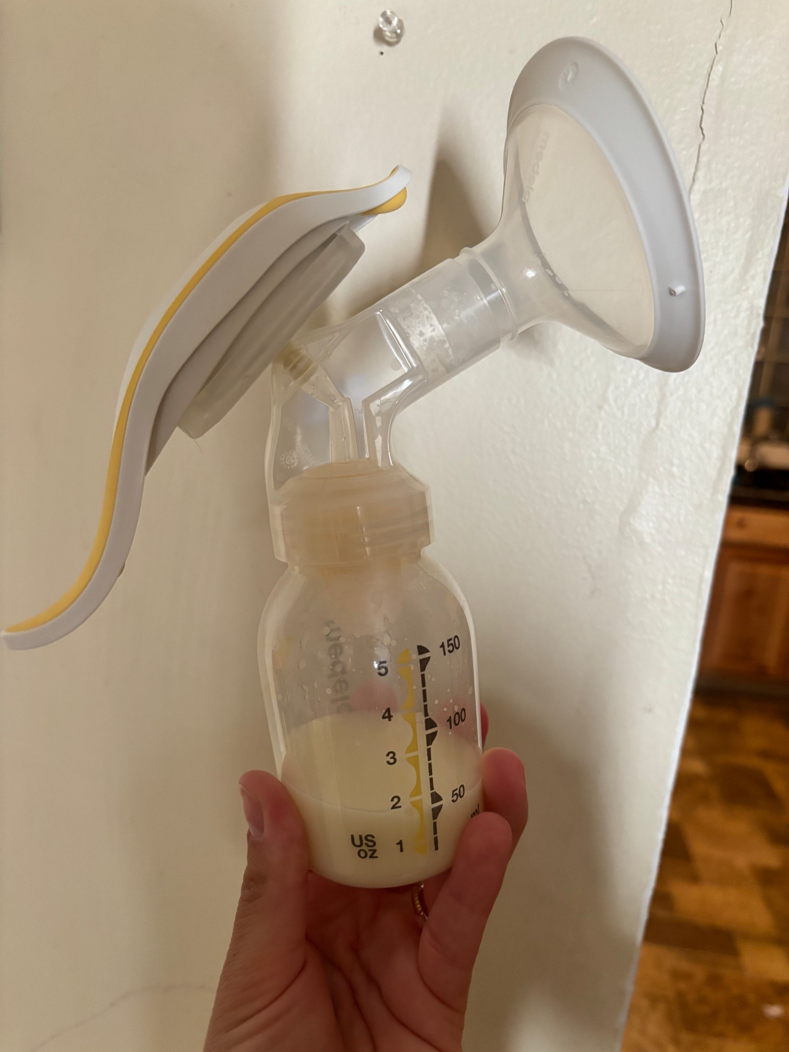 Medela hand pump! This is a game changer for pumping mamas

#LTKBump #LTKBaby #LTKFindsUnder50