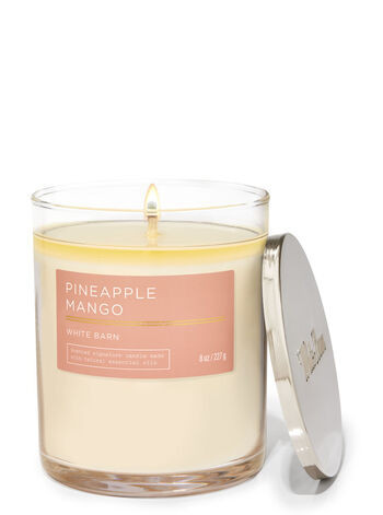 Pineapple Mango


Signature Single Wick Candle | Bath & Body Works