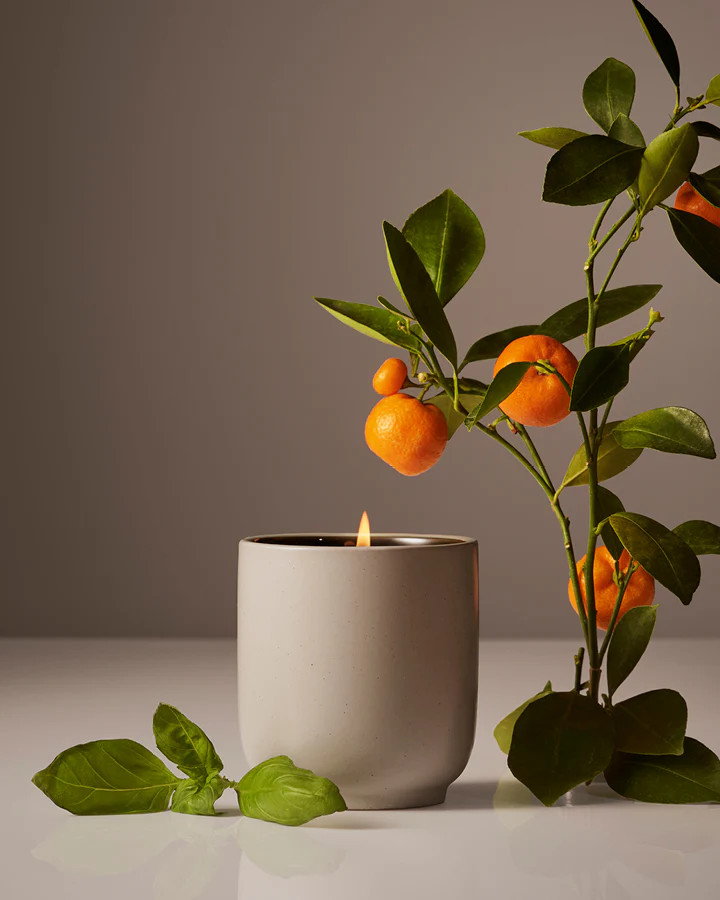 Mandarin Basile
                  Candle | Homecourt