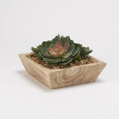 4" Artificial Succulent in Planter | Wayfair North America