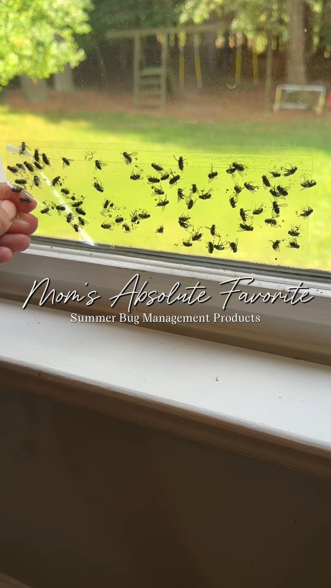 It’s gross because it works, right?! 

#LTKFamily #LTKHome #LTKFindsUnder50