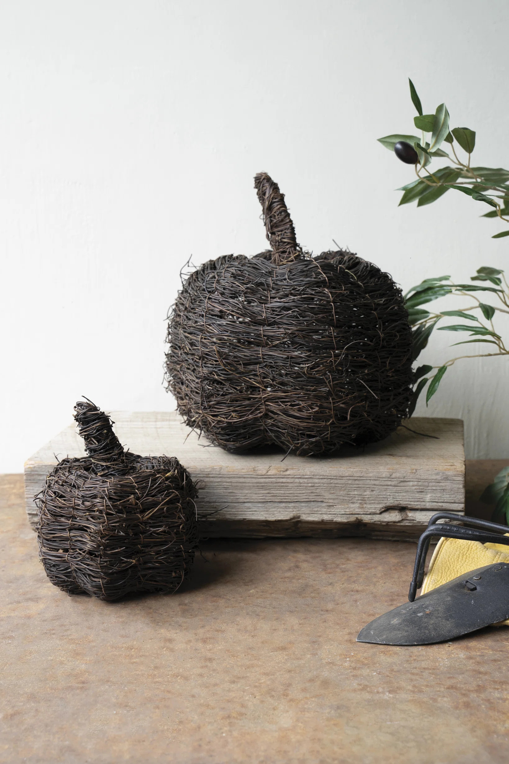 SET OF TWO VINE PUMPKINS | Wayfair North America