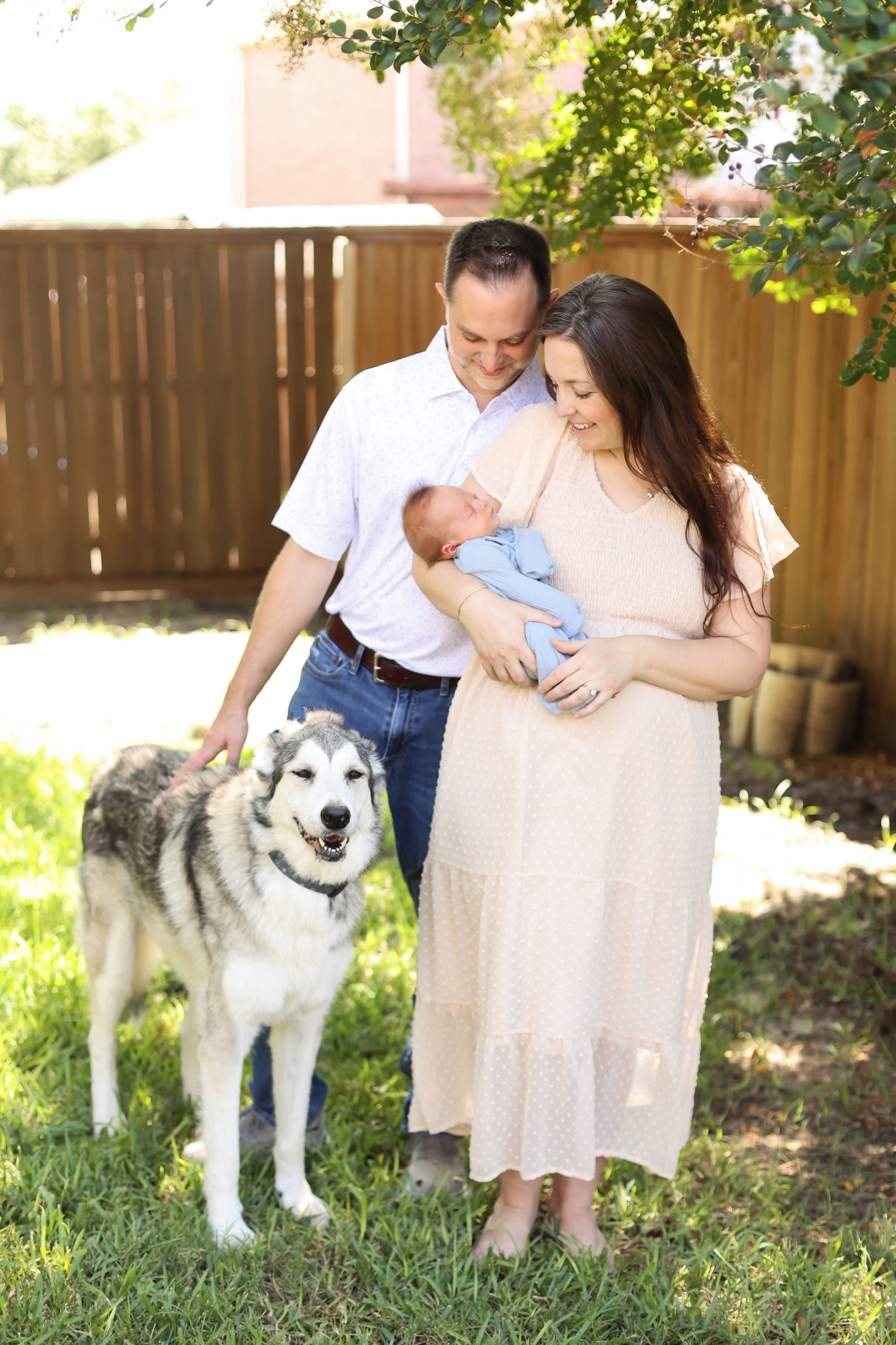 obsessed with this maternity/postpartum dress! Wearing a size L

#LTKSeasonal #LTKBump #LTKFamily