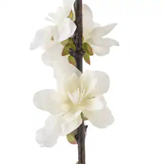 Off-White Peach Blossom Spray by Ashland® | Michaels Stores