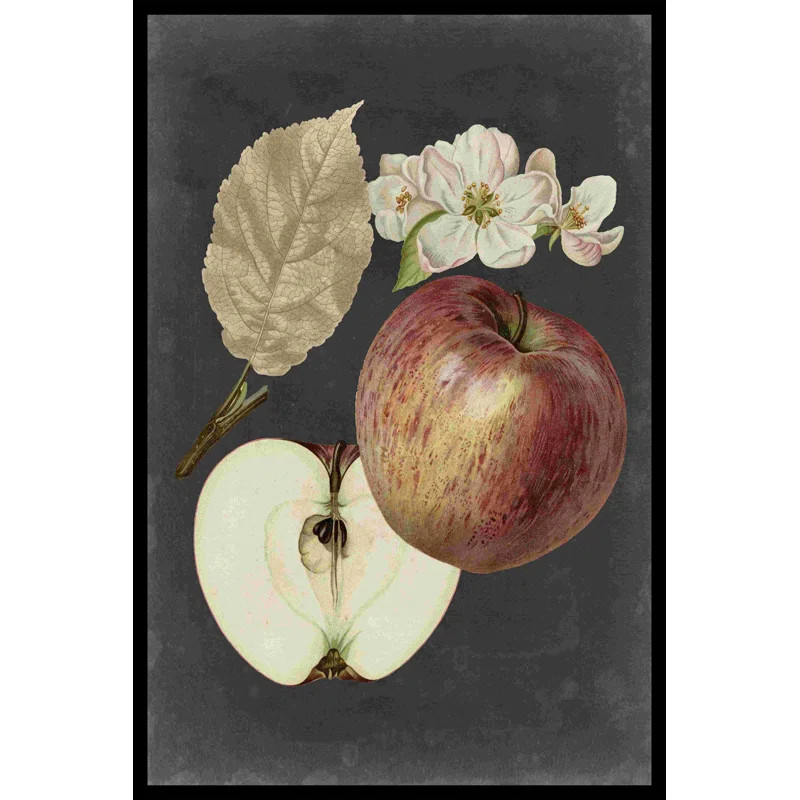 " Midnight Harvest II " by Vision Studio Painting Print | Wayfair North America