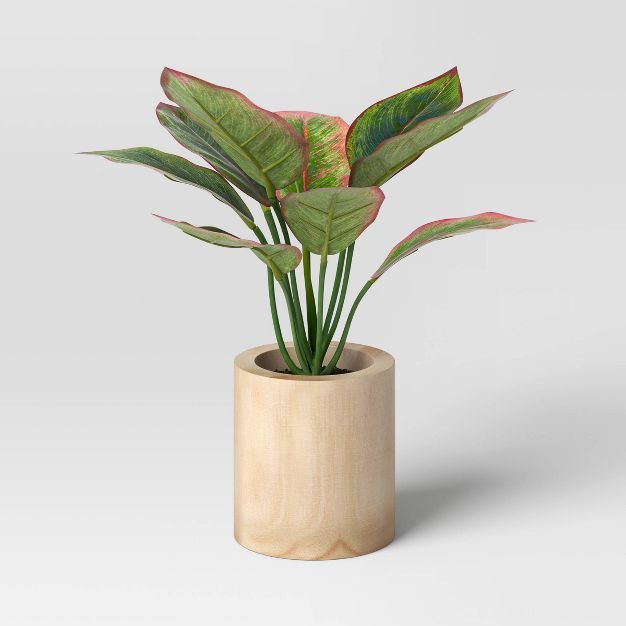 Evergreen Leaf Wood Potted Plant - Threshold™ | Target