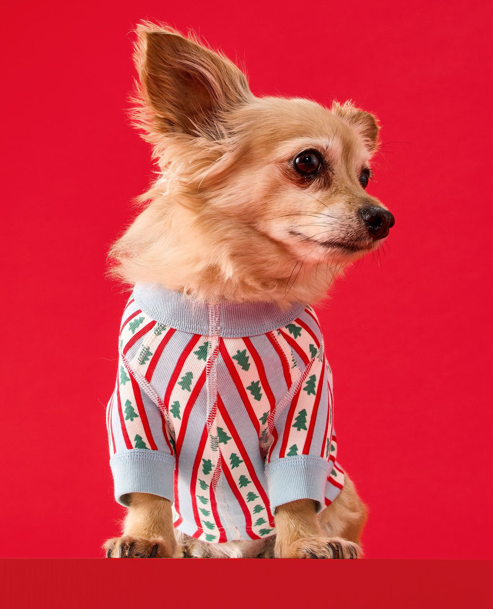 Holiday Dog Pajamas | Hanna Andersson
