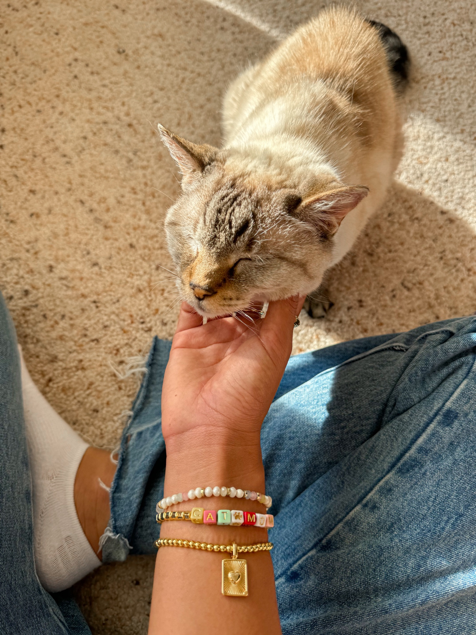 bracelet stack, pura vida bracelets, charm bracelet, stretch bracelet, layered jewelry inspo, cat mom jewelry, gift ideas for cat moms

#LTKFallSale #LTKStyleTip #LTKFindsUnder50
