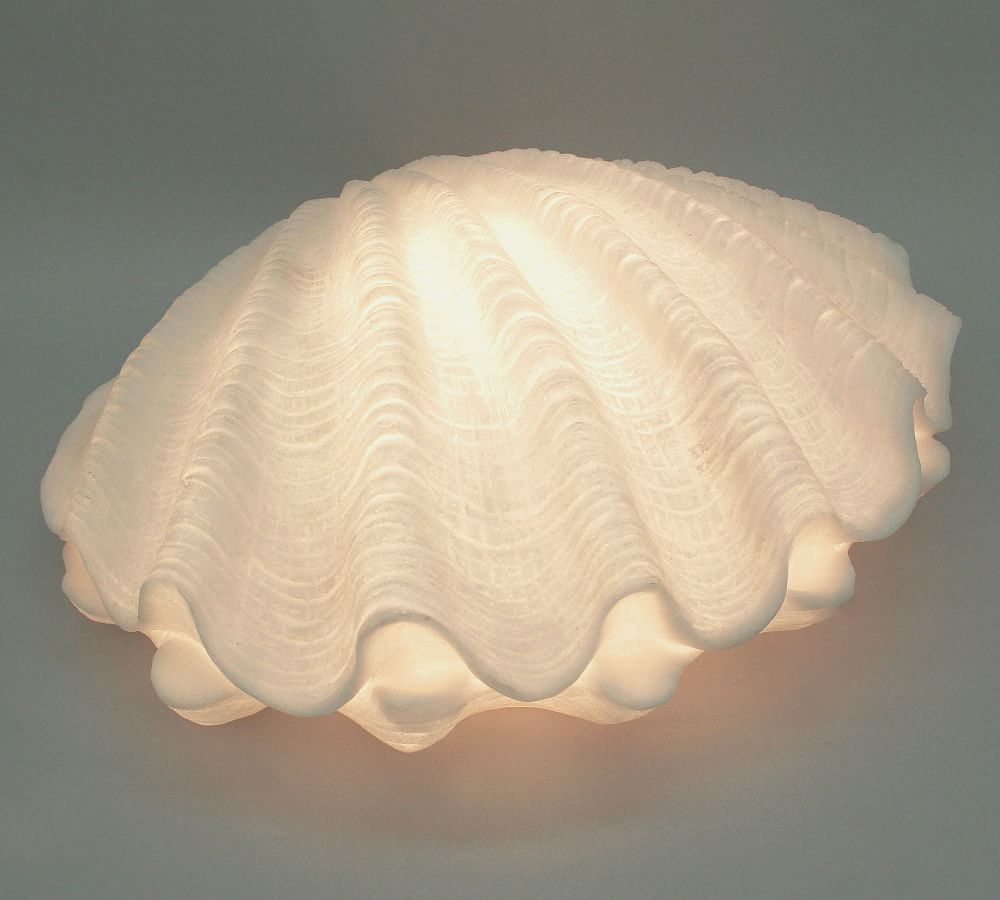 Decorative Lit Frosted Glass Clam | Pottery Barn (US)