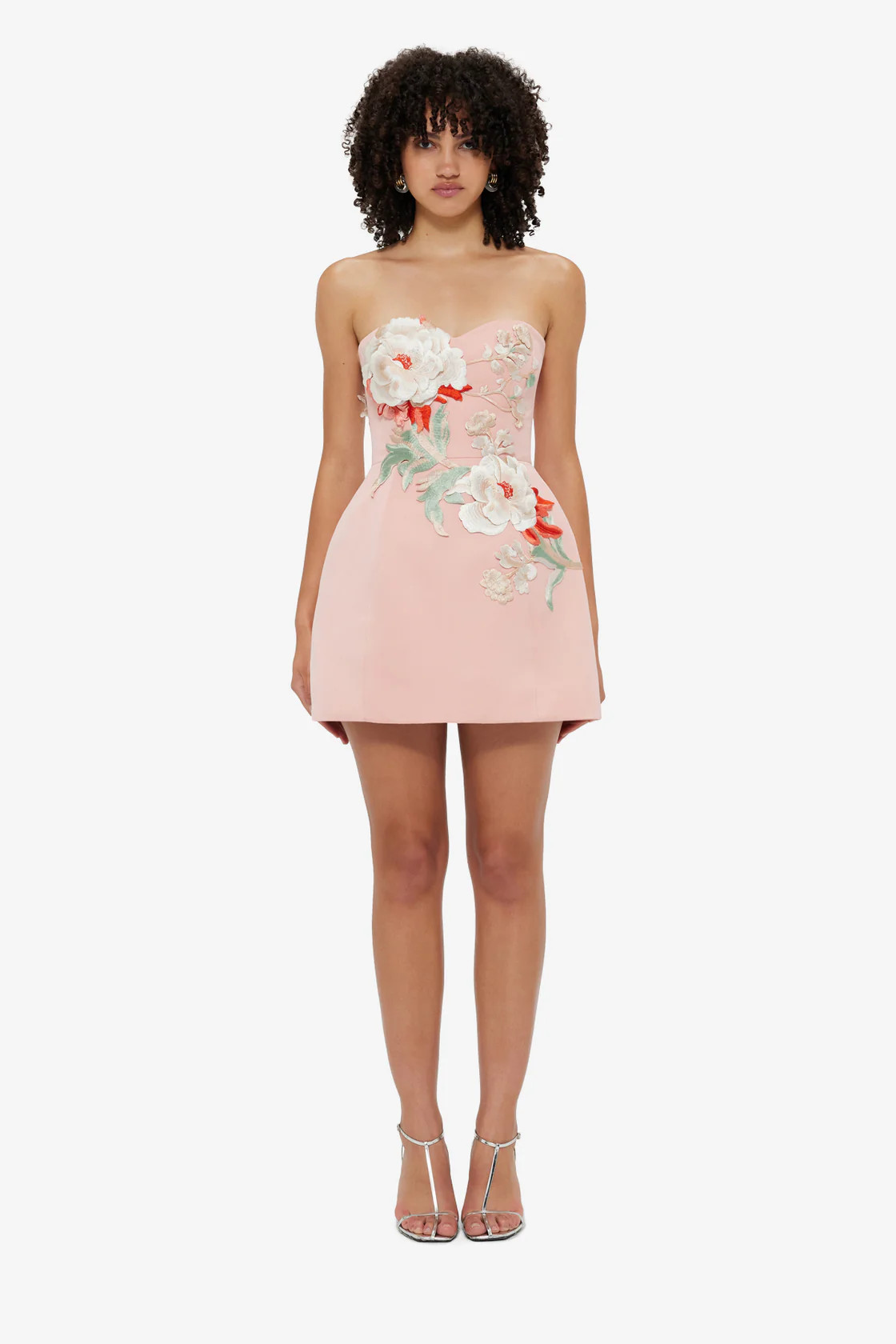 Rosario Appliqué Bustier Mini Dress - Peony Print | LEO LIN US