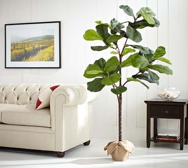 Faux Potted Fiddle Leaf Trees | Pottery Barn (US)