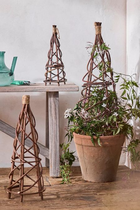 Transform your garden with the charm and functionality of this petite garden obelisk. Handcrafted from natural willow branches, this beautiful trellis piece offers the perfect support for your climbing plants while adding a rustic touch to your outdoor space. 

Key Features:
- Natural Willow Branches: Each obelisk is made from genuine willow, ensuring an organic look and feel.
- Unique Variance:*Embrace the slight natural differences in appearance that make each obelisk one-of-a-kind.
- Decorative & Practical: Not only does it support your plants, but it also enhances your garden's aesthetic with its elegant design.

Give your plants the support they need and elevate your garden’s beauty with the petite willow branch obelisk. Perfect for any garden size!

Order now and watch your garden flourish!

#LTKSeasonal #LTKFindsUnder50 #LTKHome

#LTKSummerSales #LTKFindsUnder100