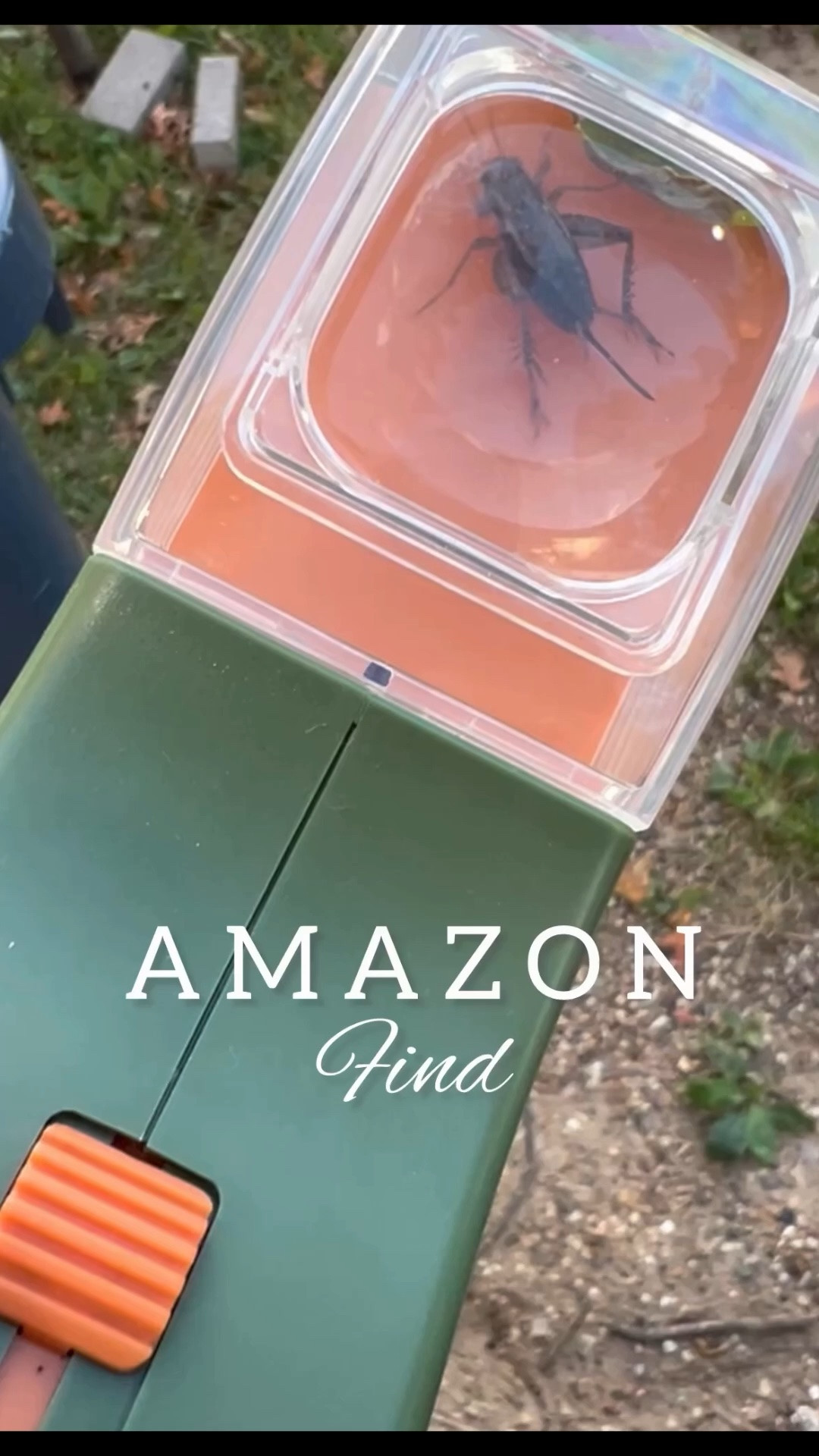 If you have a kid that’s adventurous and loves to study bugs, this little gadget is for you. You can easily catch the bug, study it through the magnifying glass and release it. Summer activities for kids.

#LTKKids #LTKstorytime