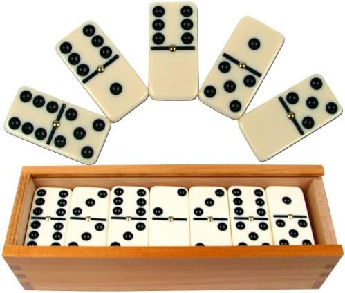 Premium Set of 28 Double Six Dominoes with Wood Case, Brown, 28 Piece (12-2408) | Amazon (US)