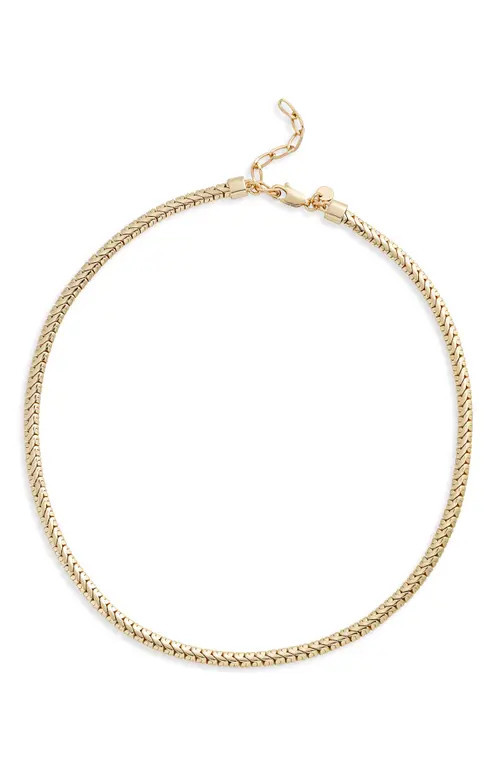 Nordstrom Serpentine Chain Necklace in Gold at Nordstrom | Nordstrom