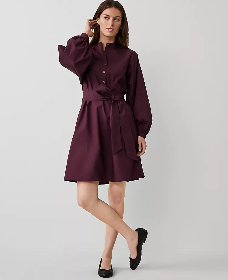 Weekend Cotton Stand Collar Shift Dress | Ann Taylor (US)