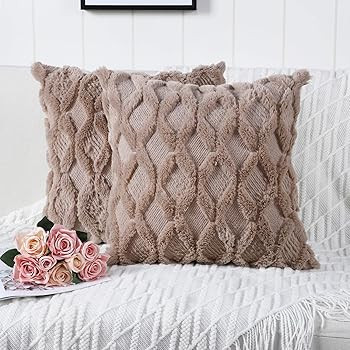 Madizz Pack of 2 Soft Plush Short Wool Velvet Decorative Throw Pillow Covers Luxury Style Cushion... | Amazon (US)