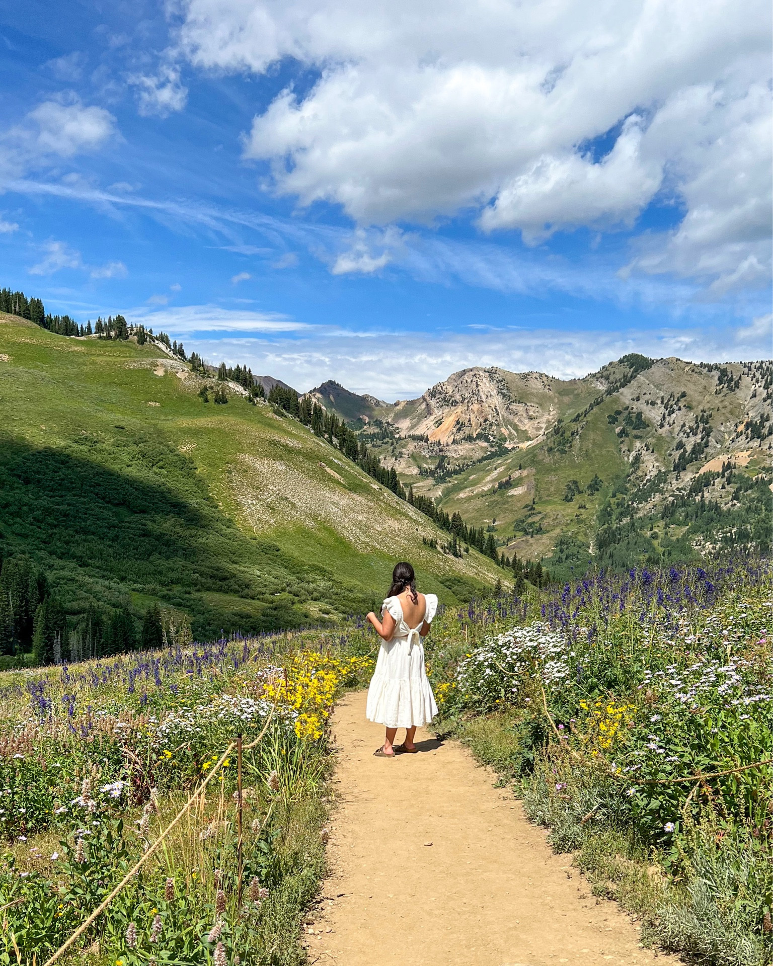 A perfect mountain frolicking dress  

#LTKunder50 #LTKsalealert #LTKcurves