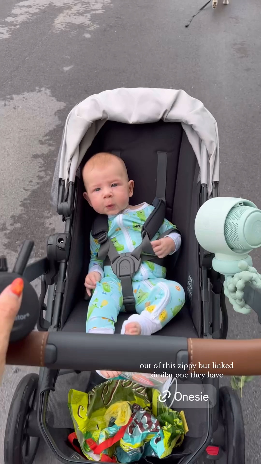 out of this zippy but linked a similar one they have!