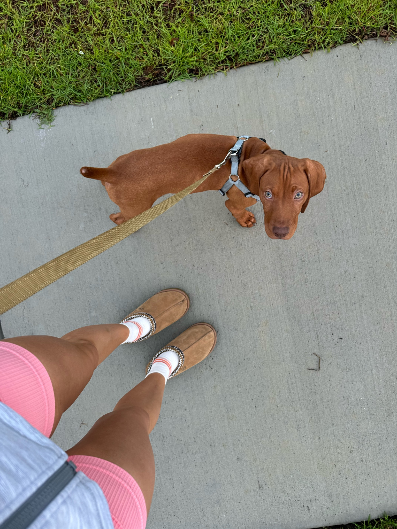 post Pilates morning walk ☀️

#LTKFitness