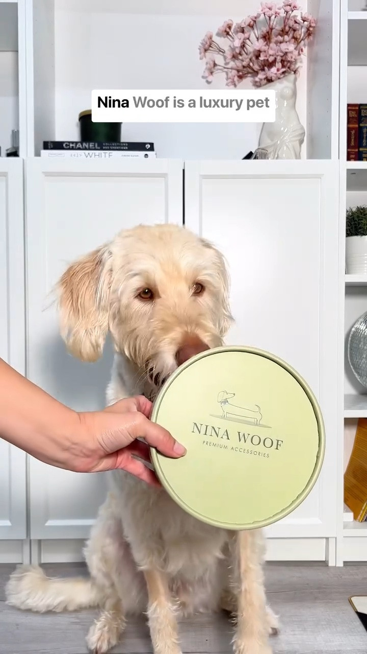 Say goodbye to your old collar and harness! 🐶✨ @theninawoof dog accessories are SO stylish! I also love that they believe in fusing style, sustainability, and love for our furry friends. 

#ad #ninawoof