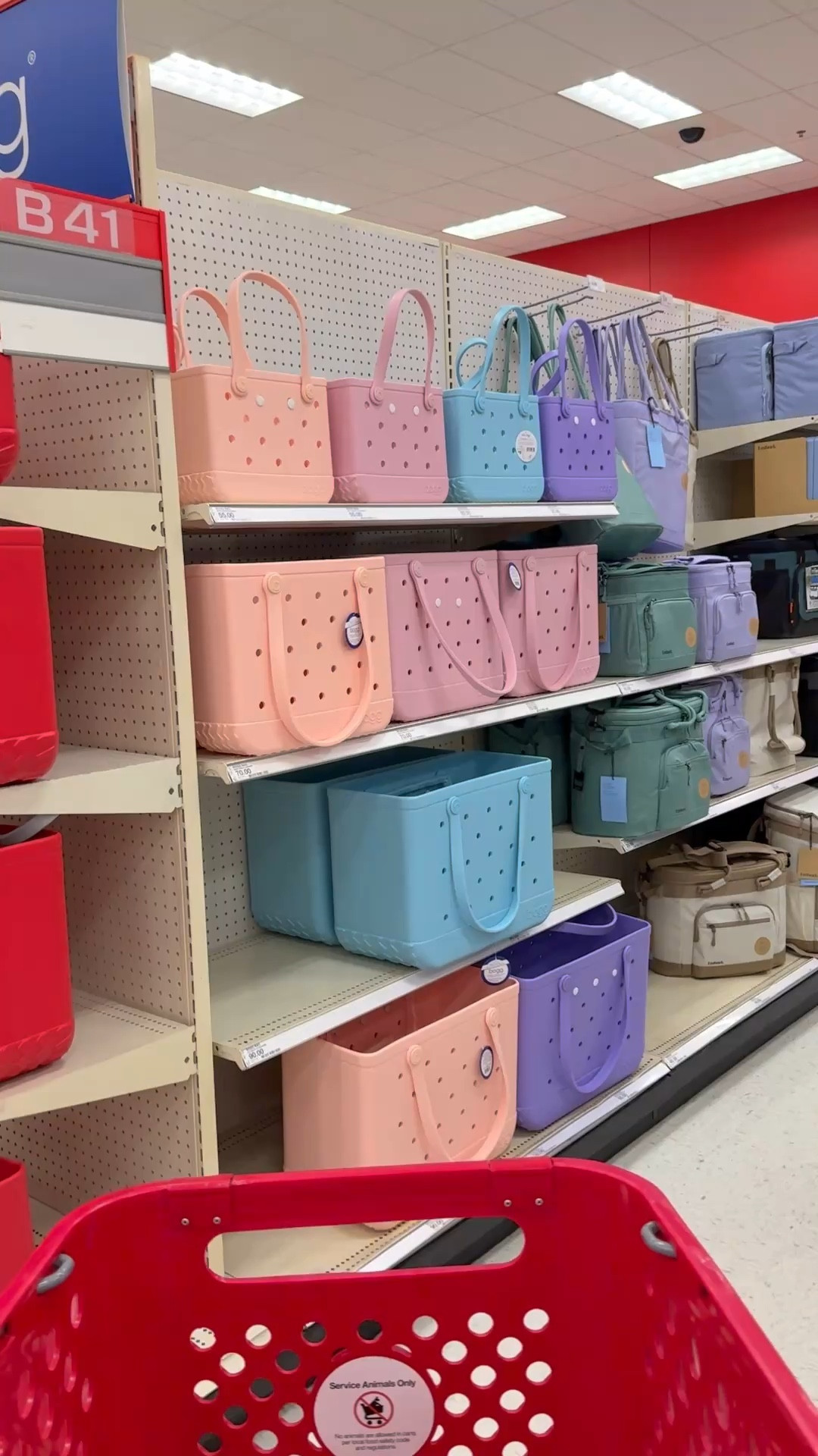 New BOGG bags at Target! 🎯 

#LTKStyleTip
