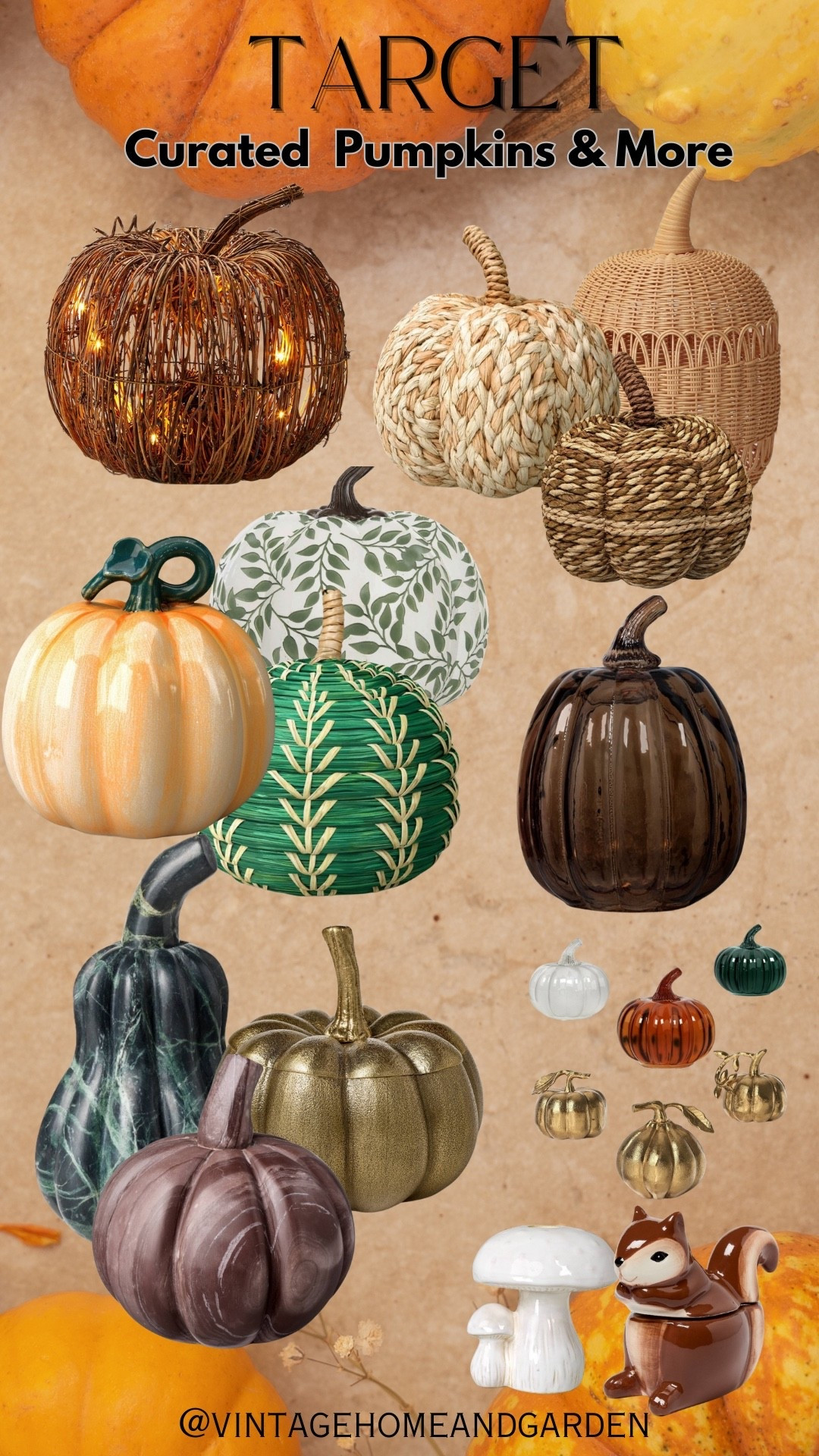 Add touches of Fall to your home with the best selection of pumpkins from Target🤍

#targetfall
#homedecor
#interiordecor
#fallstyle2025
#trendingpumpkins
#fallhomedecortrends

#LTKSaleAlert #LTKHome #LTKSeasonal