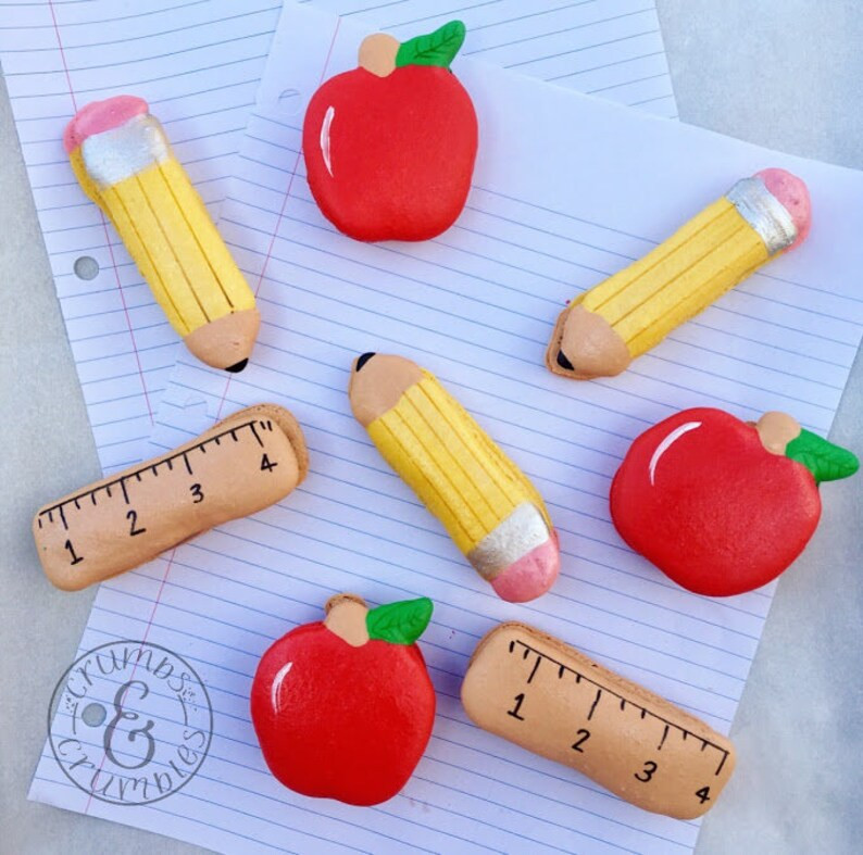 12 School Teacher Macaron Macaroon Set | Etsy (US)