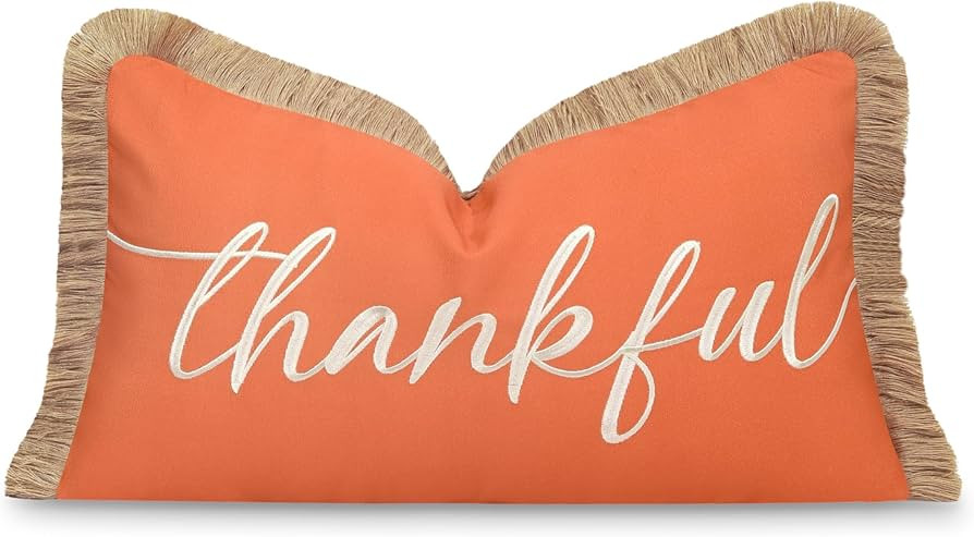 Hofdeco Premium Fall Coastal Patio Indoor Outdoor Lumbar Pillow Cover Only, 12"x20" Water Repelle... | Amazon (US)