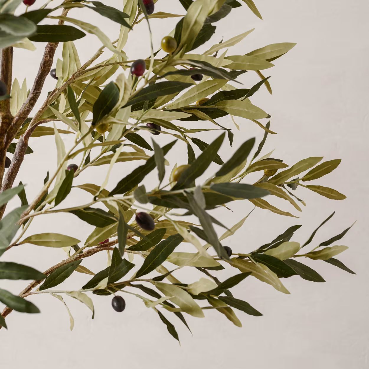 84" Olive Tree in Cement Pot | Magnolia