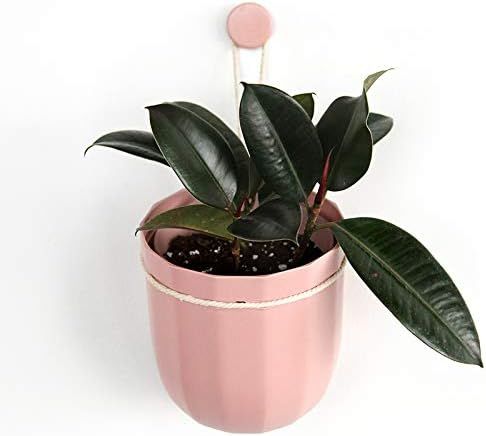 Rose Loop Hanging Planter - Single | Amazon (US)