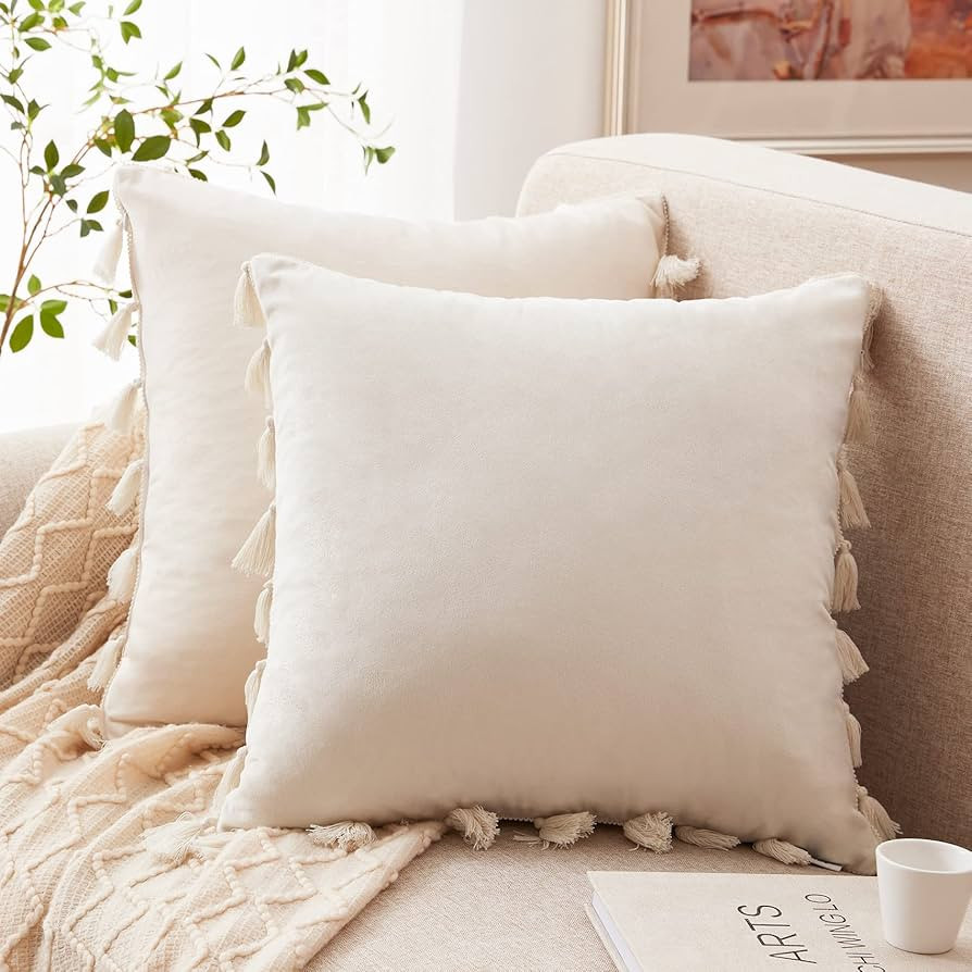 Western Home Pack of 2 Velvet Chriatmas Decorative Throw Pillow Covers with Tassels Fringe Boho A... | Amazon (US)