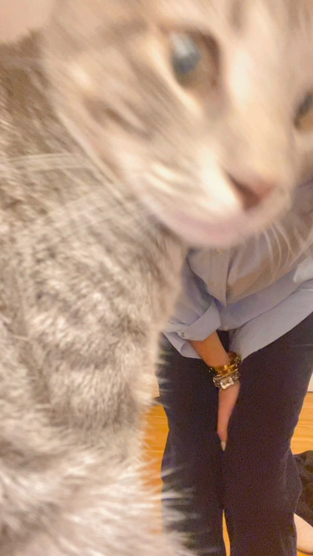 🍂 Fall Teacher Style 🍁
Keeping it classic in corduroy!
This cozy yet polished look is perfect for the classroom — tailored enough to feel put-together, but comfy for all-day wear.
✨ Wearing:
👖 Corduroy Pants (perfect fall texture!)
👕 Ralph Lauren Polo – timeless and teacher-approved.
📚 Tap the link in bio!
#LTKteacher #fallteacherstyle #LTKfallfashion #RalphLaurenStyle #CorduroySeason #TeacherOutfitInspo

#LTKSeasonal #LTKOver40 #LTKShoeCrush