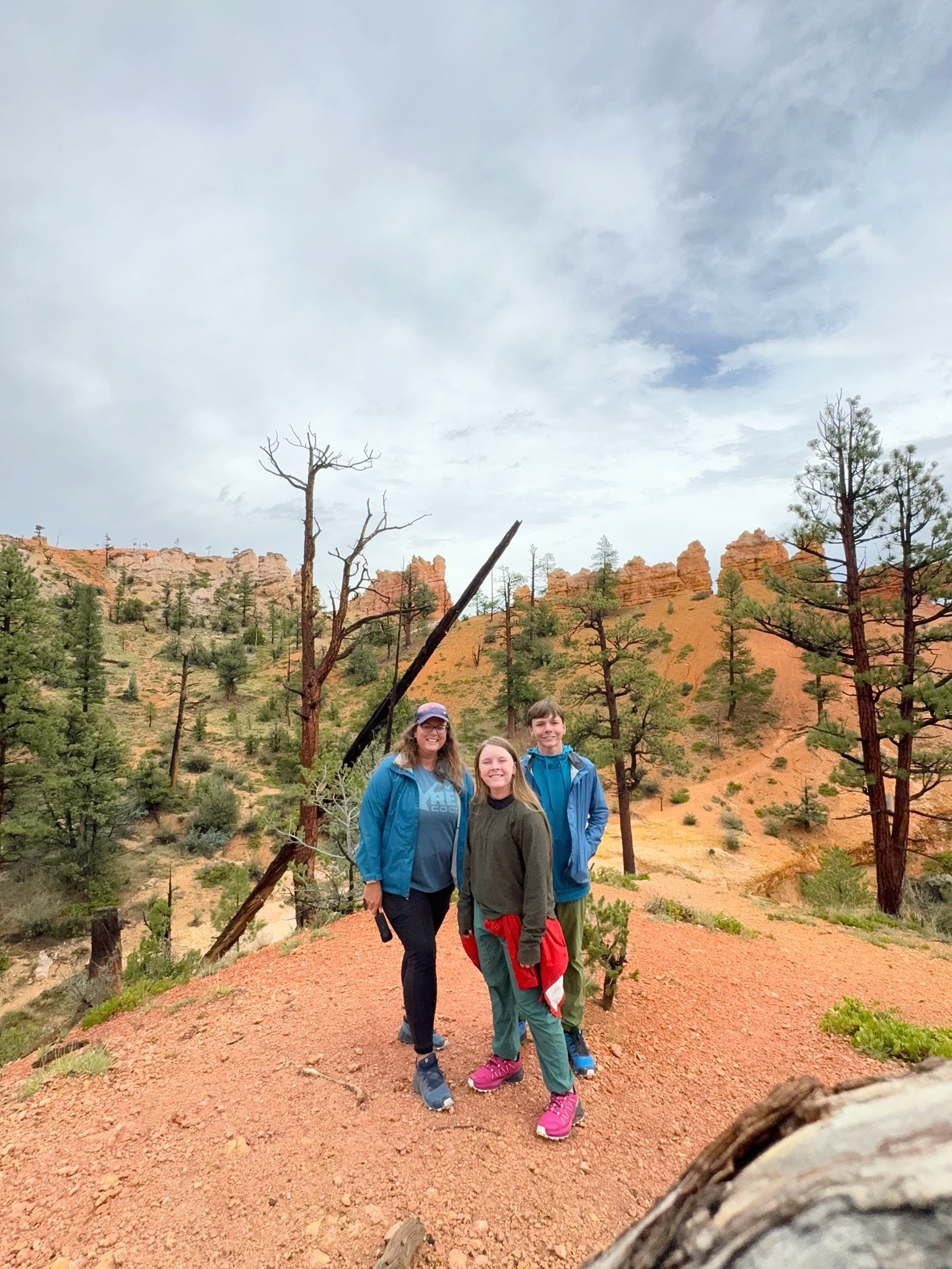 Some of our favorite hiking gear and apparel. These are still our favorite hiking shoes and we keep buying more as ours wear out, but more likely my kids outgrown them and need a bigger size. It’s almost fall hiking season!!

#LTKActive #LTKOver40 #LTKMidsize