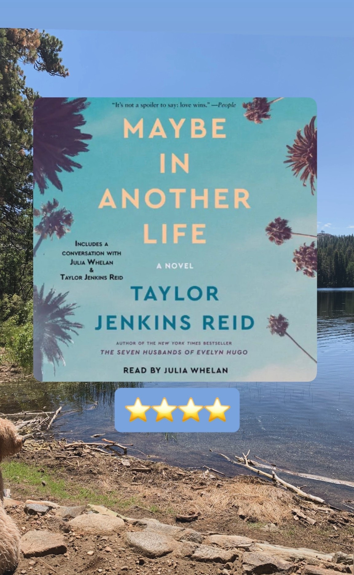 This was such a lovely read in these crappy times… I really liked it.

#LTKmomlife #LTKdayinmylife #LTKselfcare