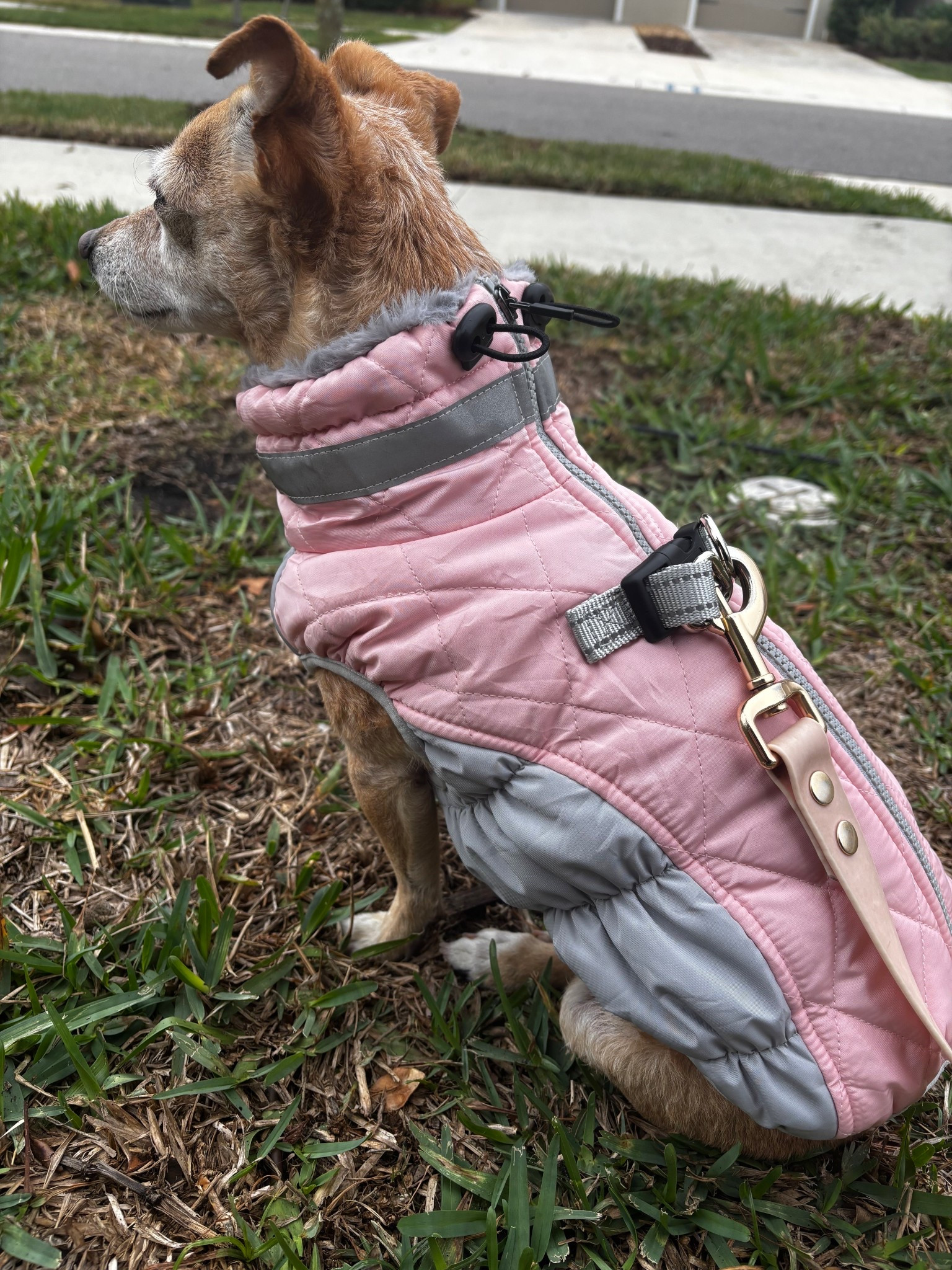 Paislee was not made for cold weather 🥶 this jacket is so cute and cozy and comes in so many colors and sizes!! 10/10 recommend 

#LTKSeasonal #LTKootd #LTKdayinmylife